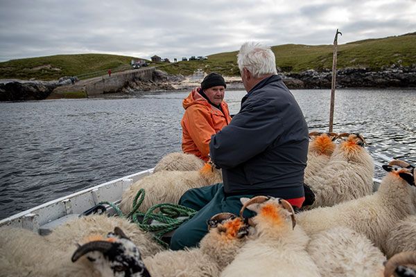 scarp-island-credit-saskia-and-coulson.jpg